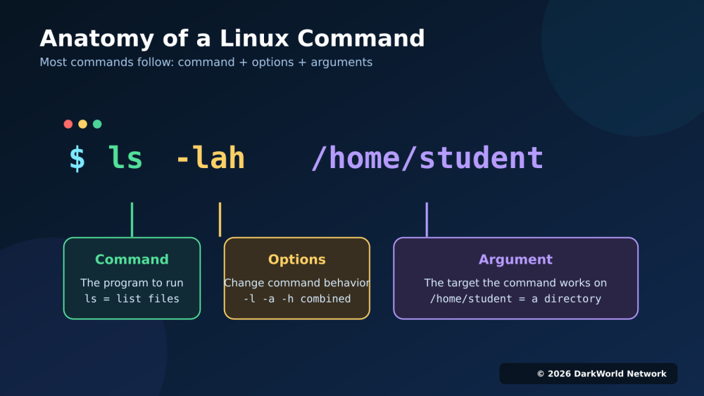 Diagram explaining the command, options, and argument parts of a Linux command
